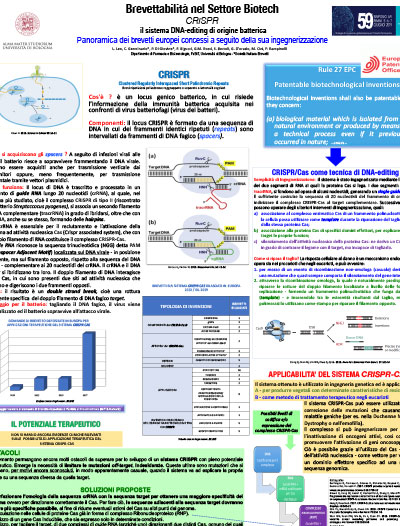 crisper definitivo